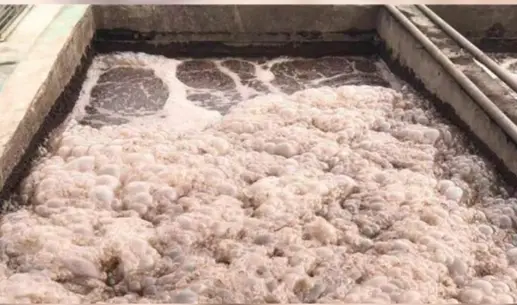 Foam on an ammonia nitrogen wastewater treatment basin