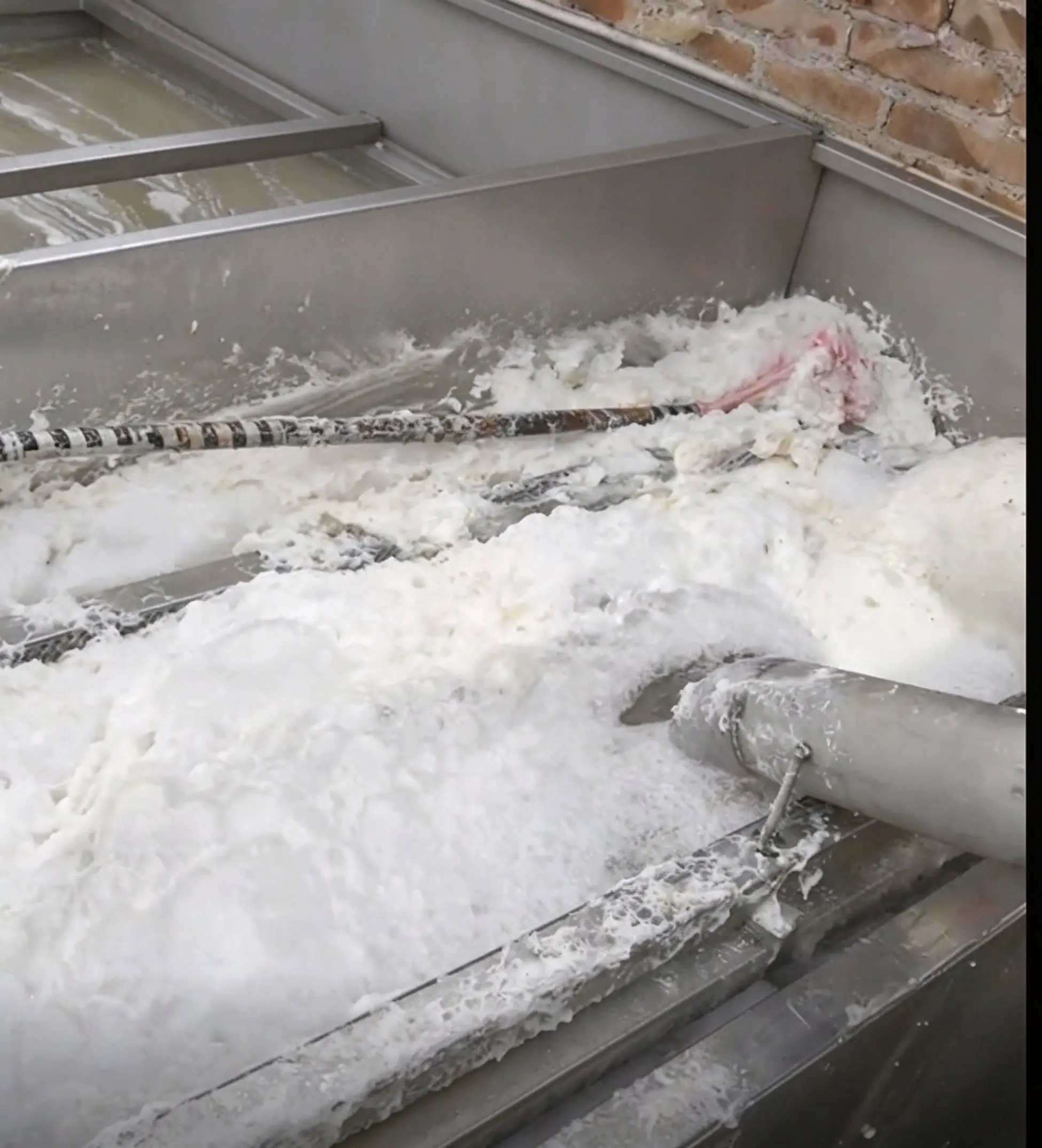 Fermentation foam on a soy bean mash fermenter